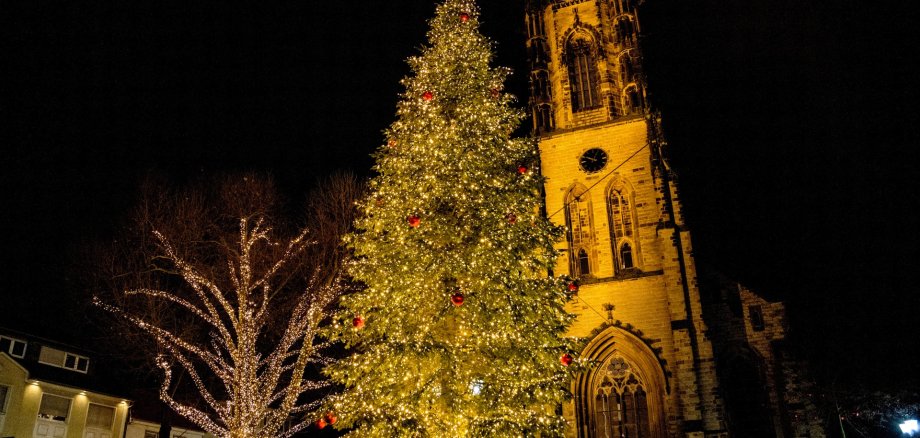 Weihnachtsbaum Marktplatz Weihnachtsbaum Marktplatz