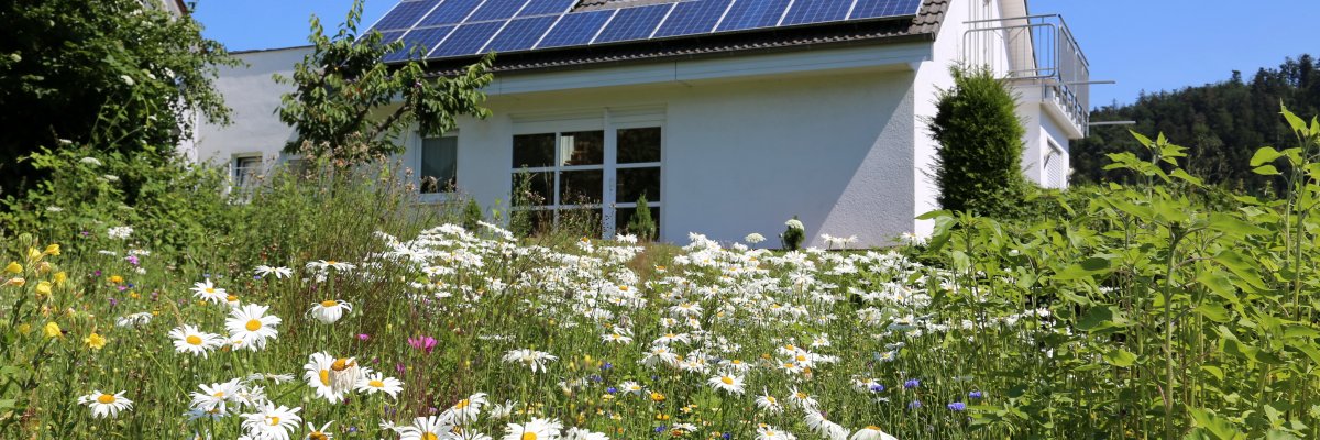 Ein Einfamilienhaus steht in einer Blumenwiese, auf dem Dach befindet sich eine Photovoltaikanlage.  
