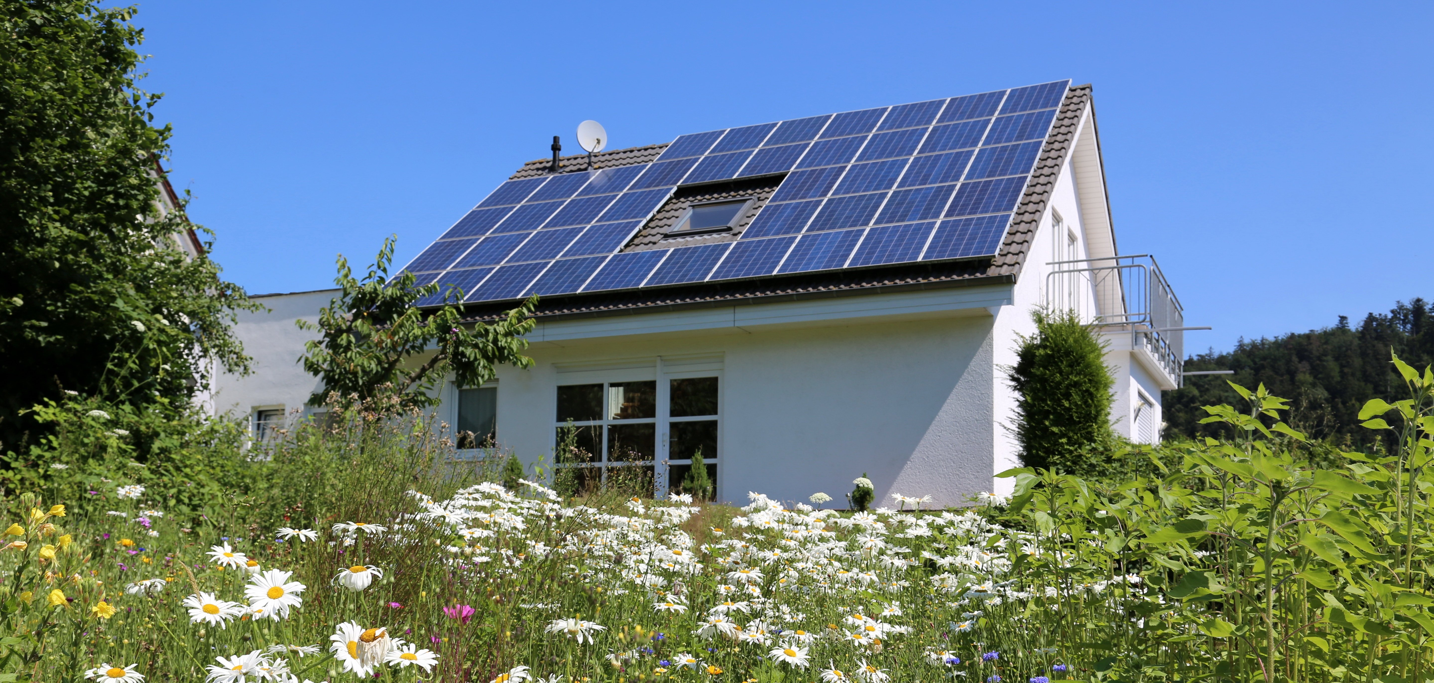Ein Einfamilienhaus steht in einer Blumenwiese, auf dem Dach befindet sich eine Photovoltaikanlage.  