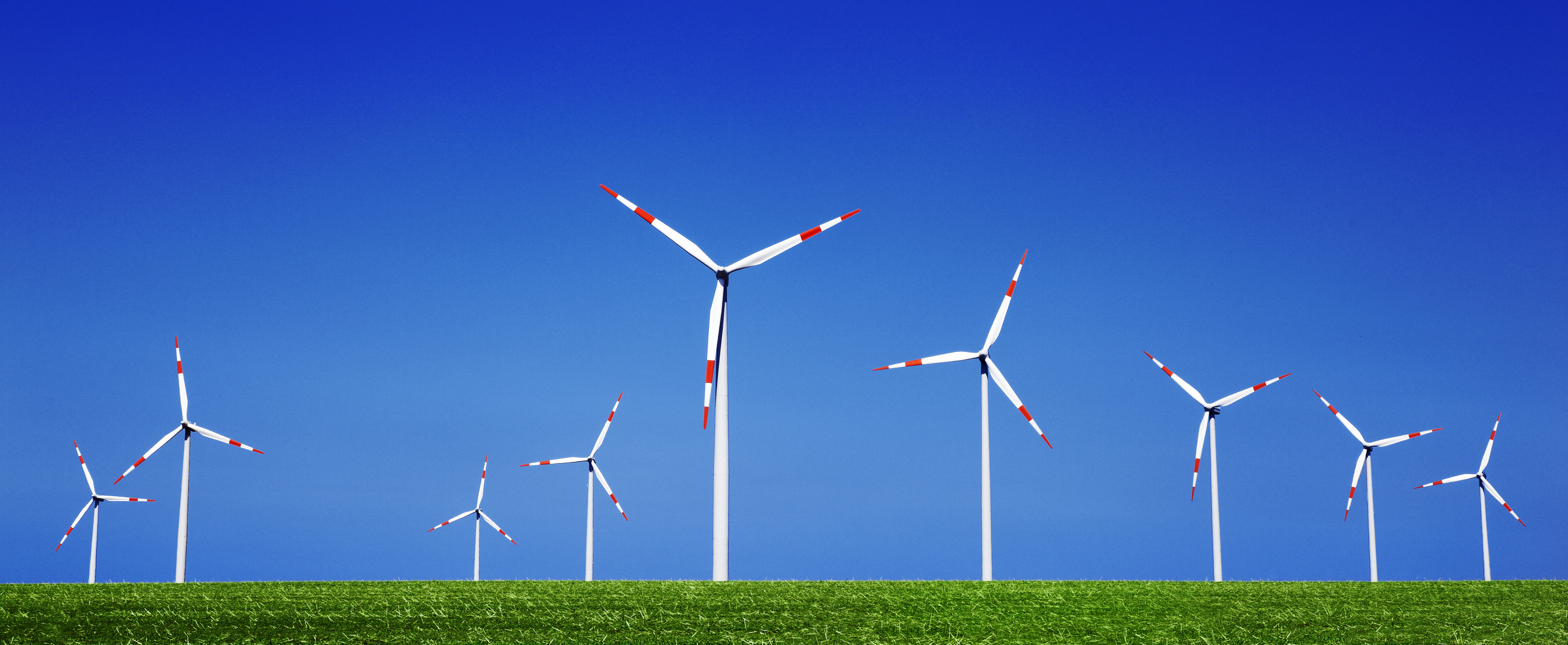 Windpark mit sieben Windrädern auf einer grünen Wies