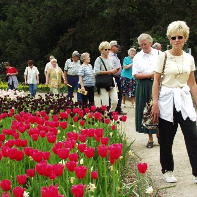 Szenerie aus dem Theaterspaziergang: 
