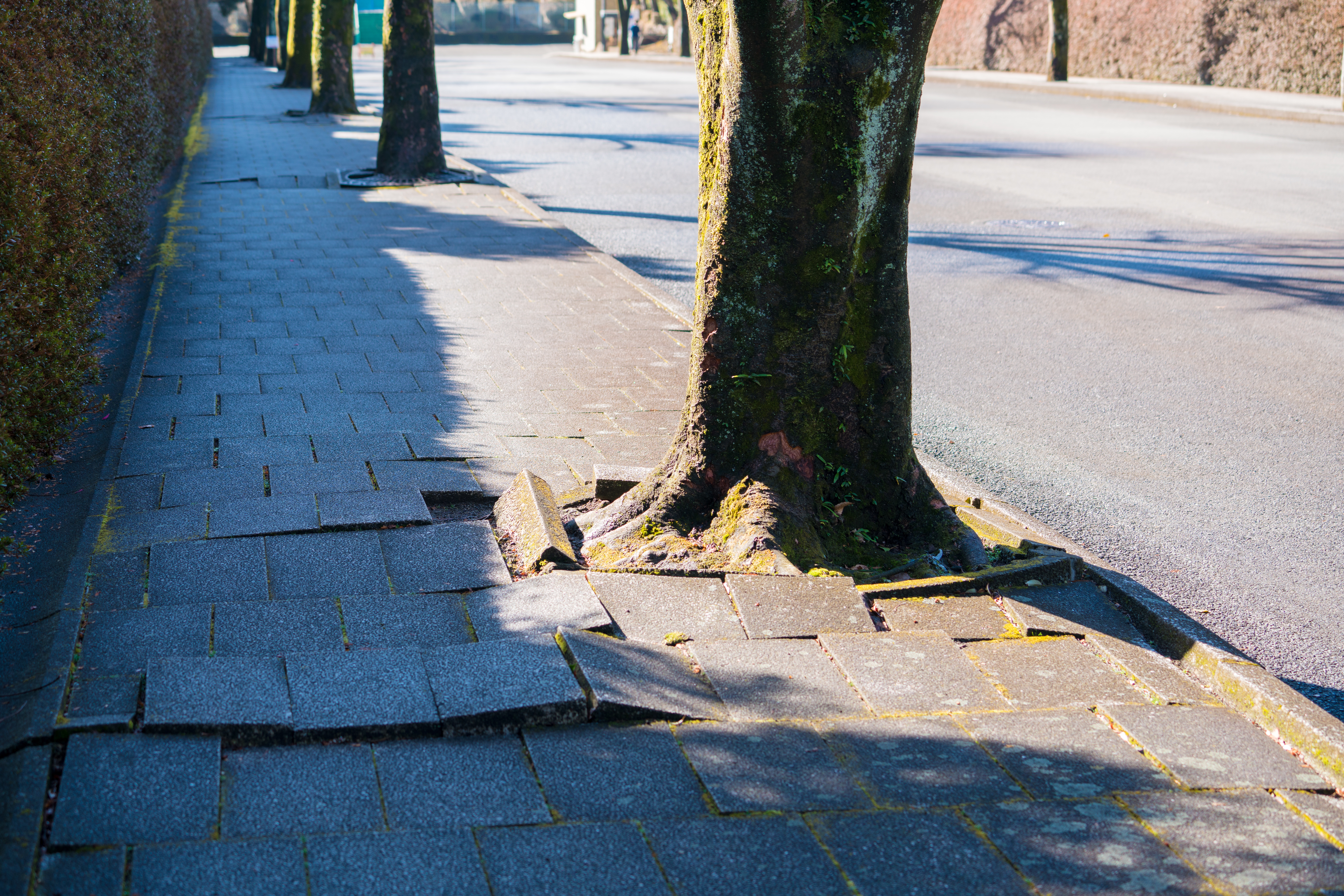 Musterbild - nicht aus Oelde! :) Musterbild von einem beschädigtem Bürgersteig