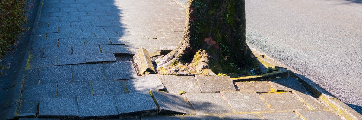 Musterbild von einem beschädigtem Bürgersteig