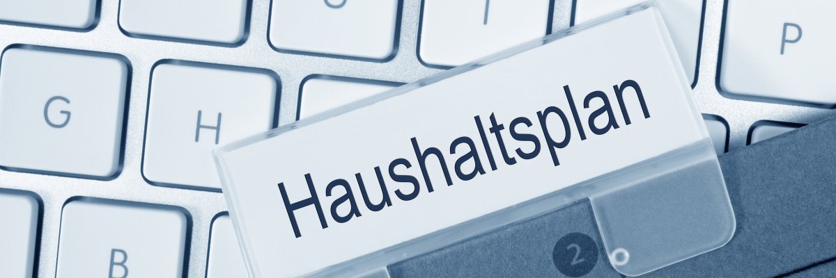 Haushaltsplan Haushaltsplan