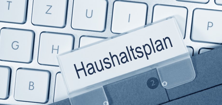 Haushaltsplan Haushaltsplan