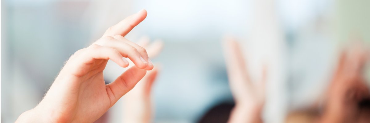 Abstimmen durch Handzeichen