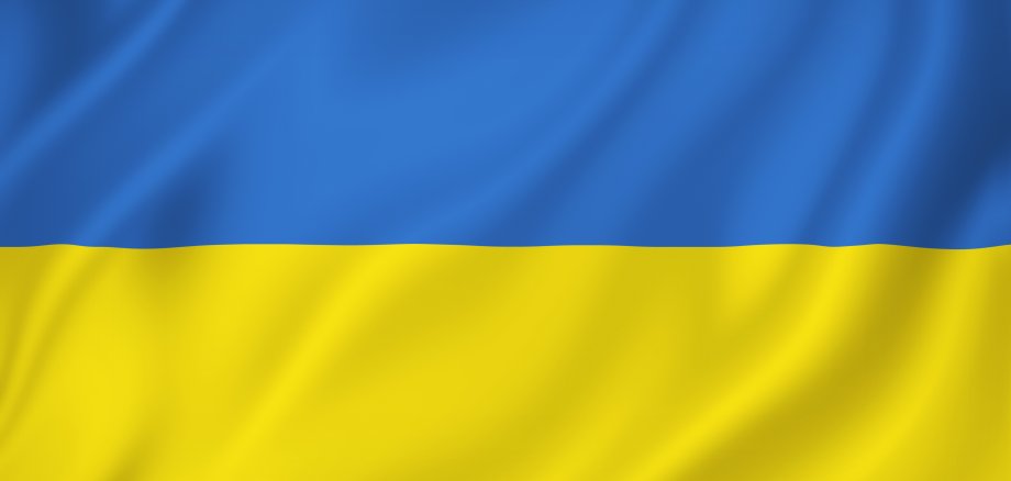Ukraine flag